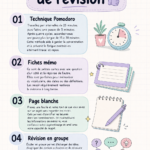 Femme en train de réviser avec une méthode efficace et un environnement calme, entourée de livres et de notes.