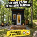 Une chambre d'enfant avec une mini maison intégrée, créant un espace de jeu chaleureux et pratique.